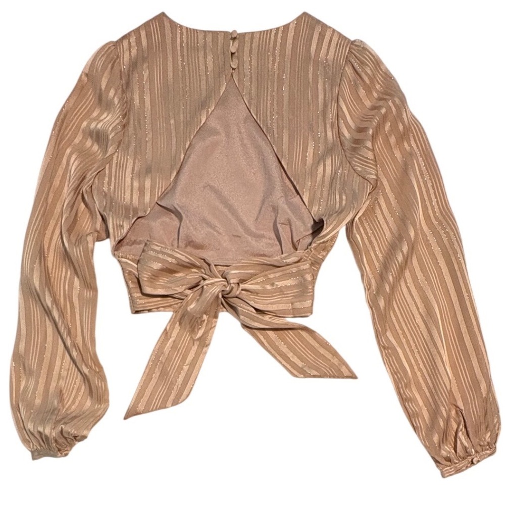 HYFVE Striped Metallic Crop Tie Open Back Blouse Shirt Women's Size Small - Picture 4 of 9